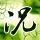 一比一原版斯基德莫尔学院文凭学位【degxx.com】